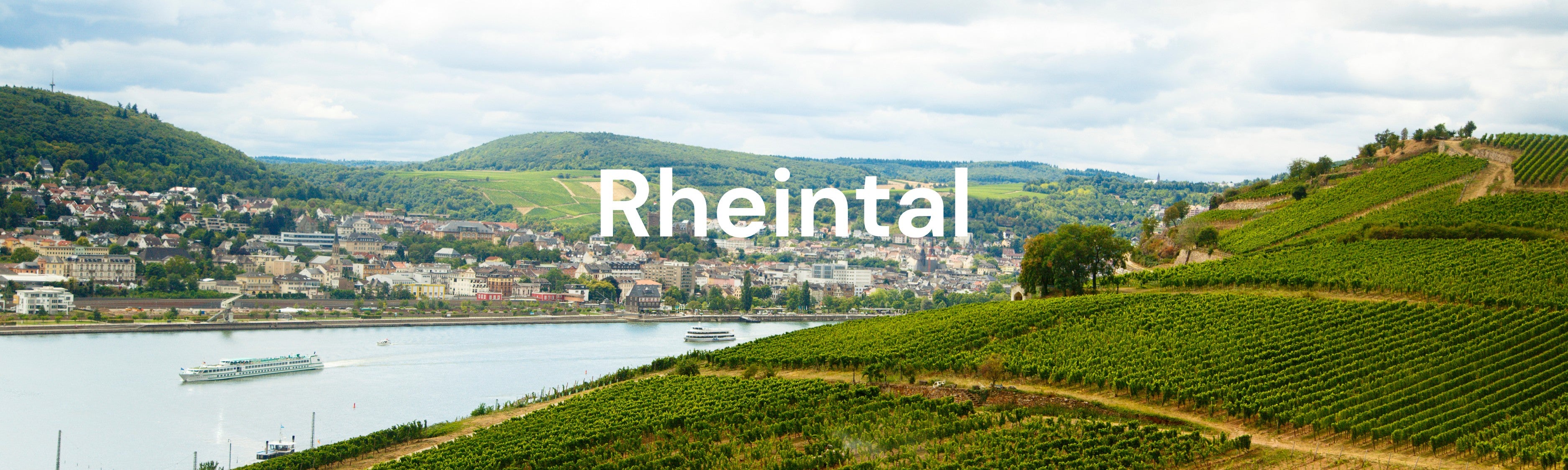 Blick auf das malerische Rheintal mit seinen Weinbergen – ein ideales Ziel für ausgedehnte Ausflüge mit dem Fischer Terra E-Bike.