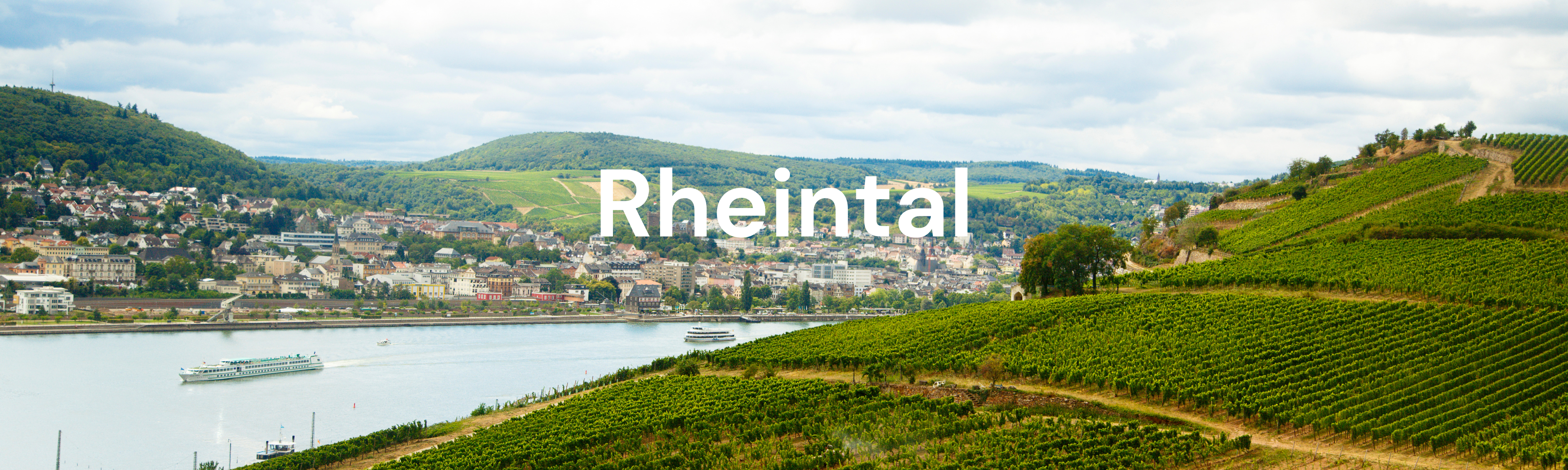 Blick auf das malerische Rheintal mit seinen Weinbergen – ein ideales Ziel für ausgedehnte Ausflüge mit dem Fischer Terra E-Bike.