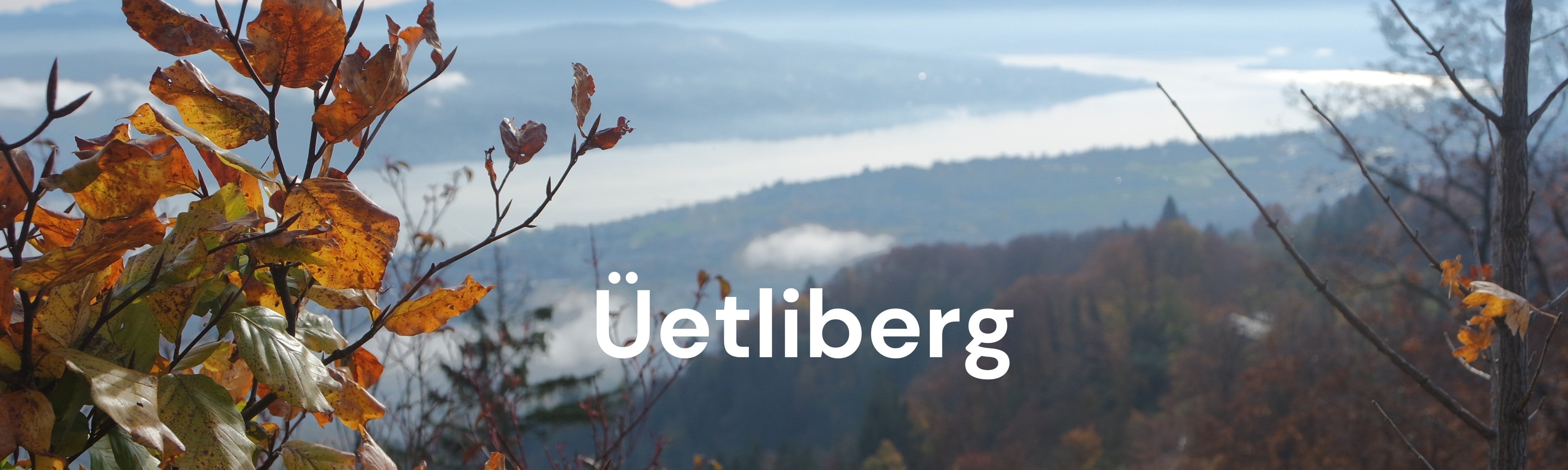 E-Bike Tour auf dem Üetliberg: Panoramablick über Zürich und den Zürichsee, perfekt für sportliche Fahrten mit dem Fischer E-MTB Montis.