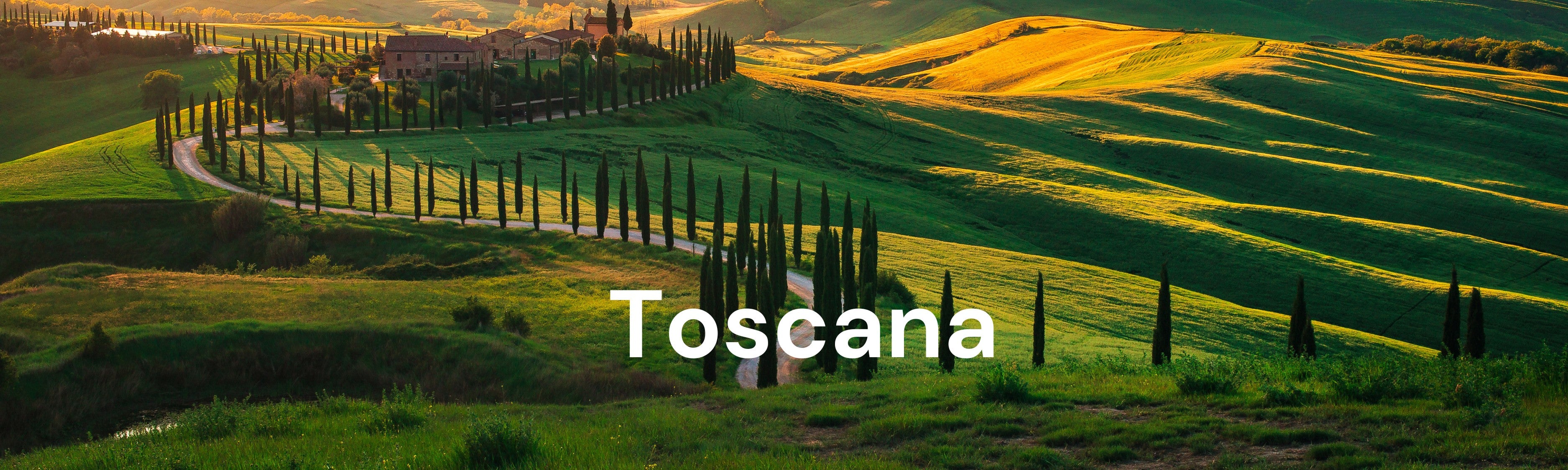 Blick auf die malerische Landschaft der Toscana – ein ideales Ziel für ausgedehnte Trekking-Ausflüge mit dem Fischer E-Bike Viator.