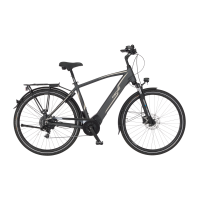 B-WARE FISCHER VIATOR 5.0i Herren Trekking E-Bike 55 cm